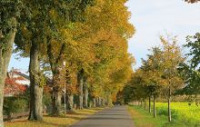 Lunestedt im Herbst II